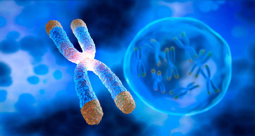هدف دانشمندان از توسعه این فناوریها، برنامهریزی و اصلاح DNA بهگونهای است که بتوان بیماریهای مزمن را درمان کرد و در نهایت، روند پیری را به تأخیر انداخت یا حتی بر آن غلبه کرد.